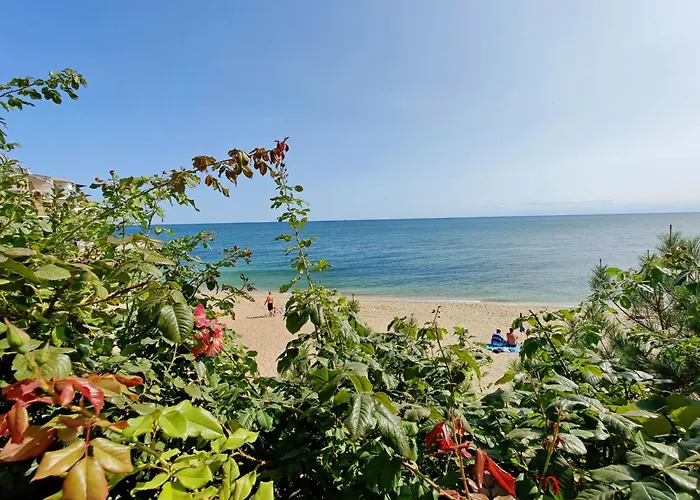 сучасна з басейном на приватній території Villa *