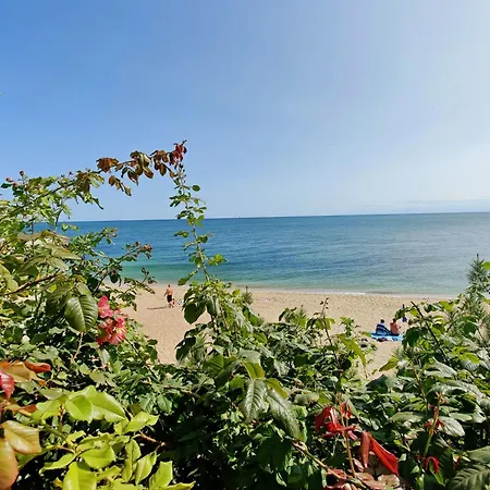 сучасна з басейном на приватній території Villa *